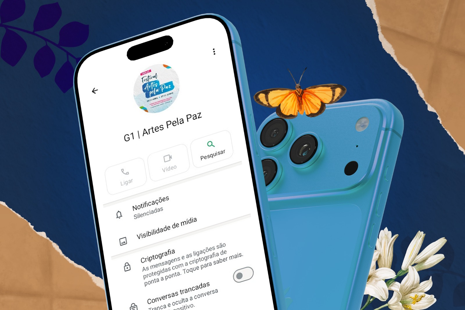 Publicações e Informativos